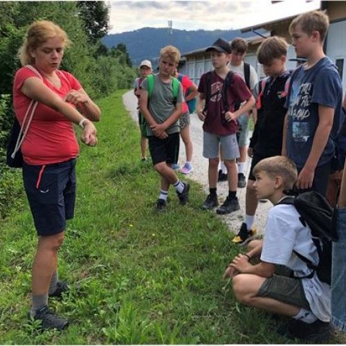 Schüler:innen bei der Kräuterwanderung