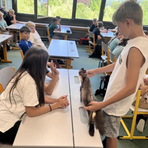 Schüler beim Forschertag