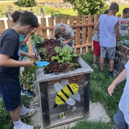 Kinder im Schulgarten