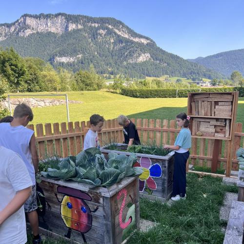 Schüler im Schulgarten