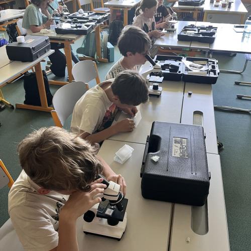 Schüler beim Mikroskopieren