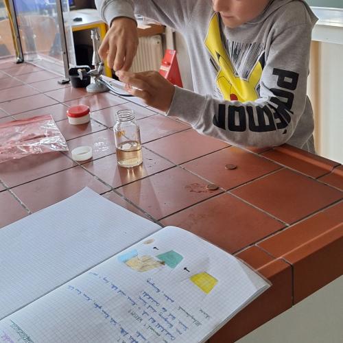 Schüler:innen führen Versuche in MINT durch und erklären diese