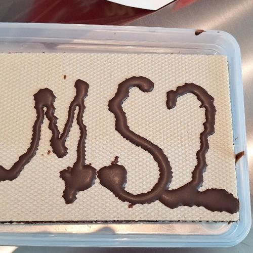 MS2 Waffeln