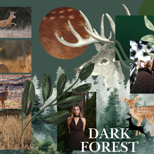 Moodboard Valerie