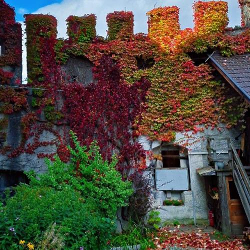 Burg Reifenstein