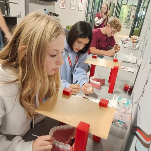 Schüler:innen bei der Berufssafari