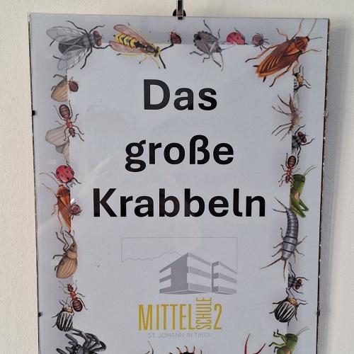 Das große Krabbeln