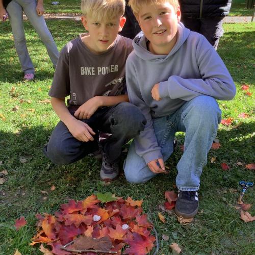 Schüler:innen präsentieren Naturbild