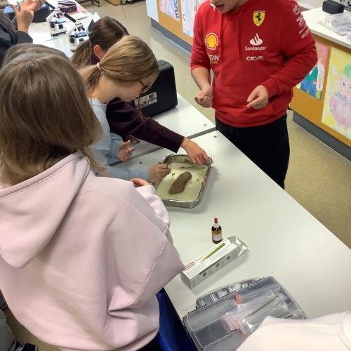 Schüler:innen in der Forscherwerkstatt