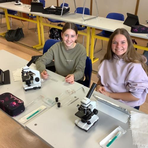 Schüler:innen beim Mikroskopieren