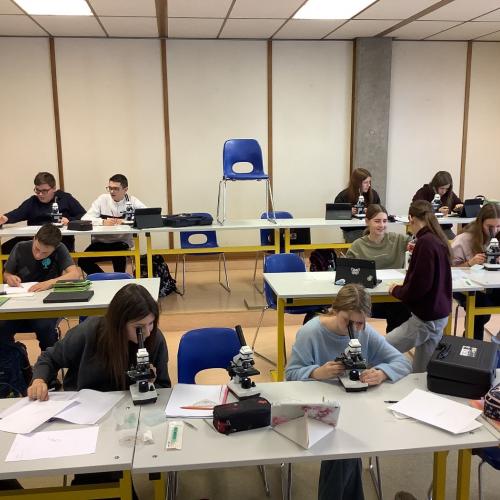 Schüler:innen beim Mikroskopieren