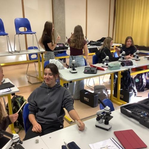 Schüler:innen bei der Probenentnahme