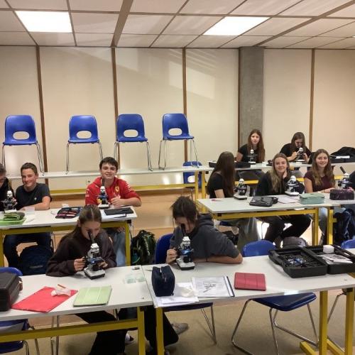 Schüler:innen beim Mikroskopieren