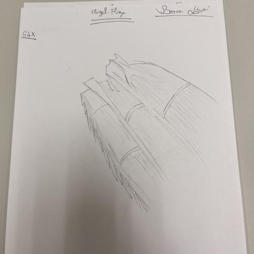 Zeichnung Beobachtung Mikroskop