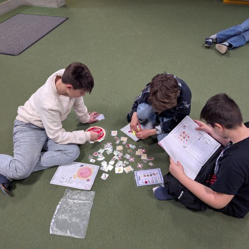 Schüler:innen der 1c beim "Pizzabacken"