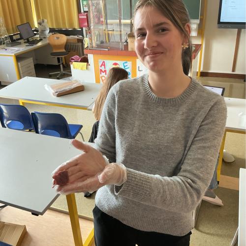 Schüler:innen im WPF Forscherwerkstatt