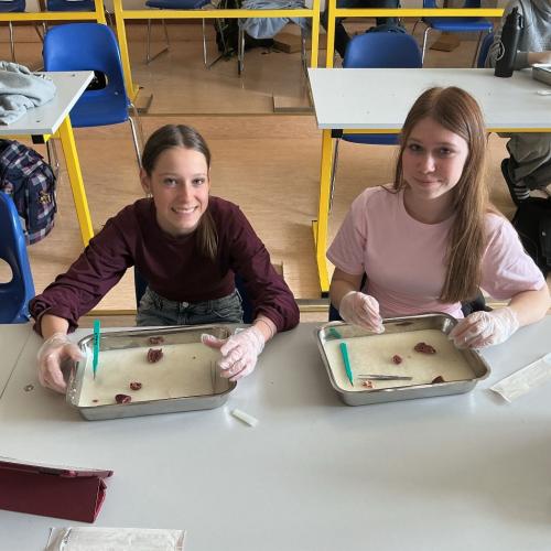 Schüler:innen im WPF Forscherwerkstatt