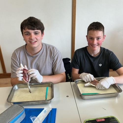 Schüler in der Forscherwerkstatt