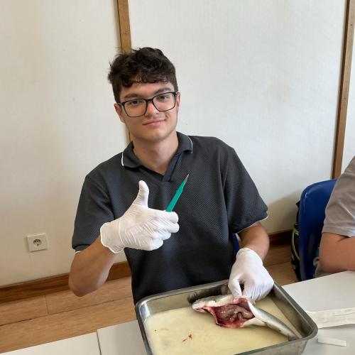 Schüler in der Forscherwerkstatt