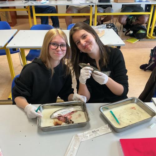 Schüler:innen in der Forscherwerkstatt