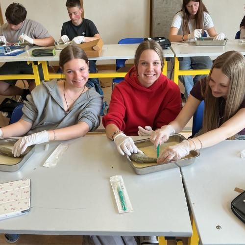 Schüler:innen in der Forscherwerkstatt