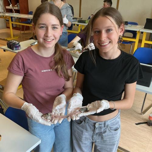 Schüler:innen in der Forscherwerkstatt