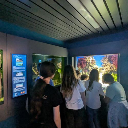 Schüler:innen im Haus der Natur