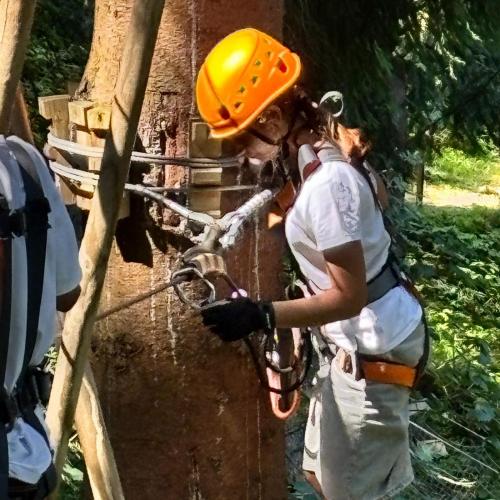 Schüler:innen beim Klettern im Hochseilgarten