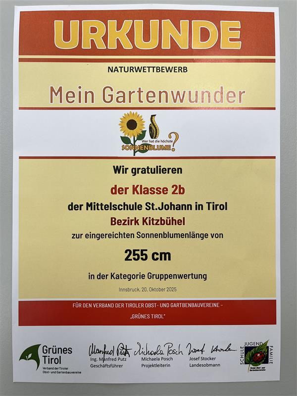 Urkunde Sonnenblumenwettbewerb