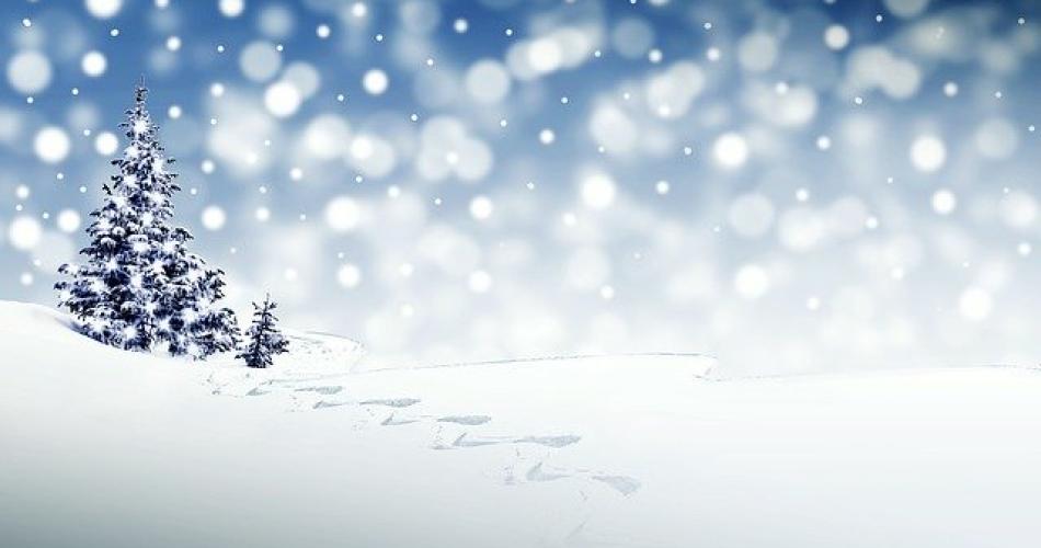 Man sieht Schneeflocken vor blau-weißem Hintergrund. Links steht ein Tannenbaum, mit Schnee bedeckt.