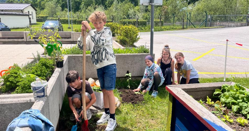 Schüler:innen arbeiten im Schulgarten