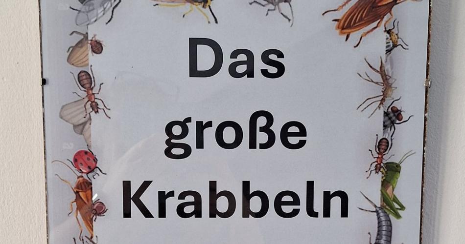 Das große Krabbeln